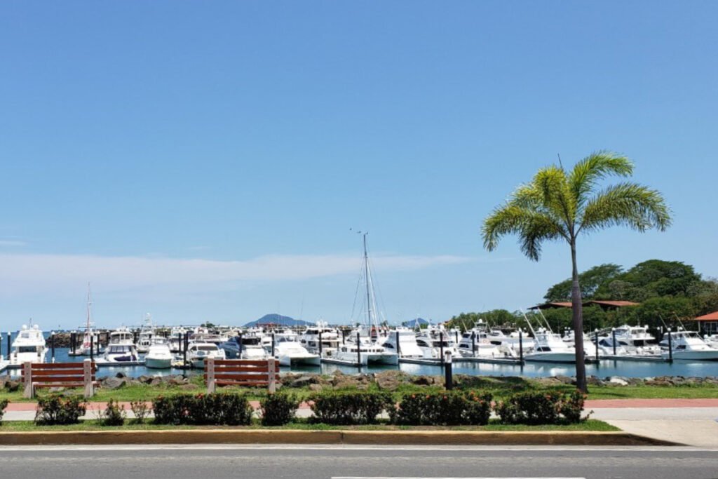 marinas on the amador causeway